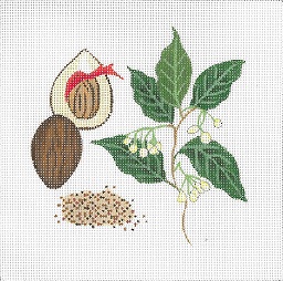 click here to view larger image of Botanical Spice Tile - Nutmeg (hand painted canvases)