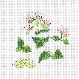 click here to view larger image of Botanical Spice Tile - Oregano (hand painted canvases)
