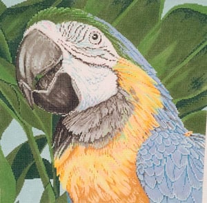 click here to view larger image of Parrot Blue and Yellow Macaw (hand painted canvases)