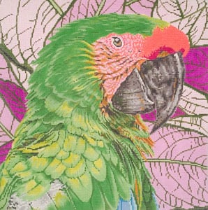 click here to view larger image of Parrot Buffon or Great Green McCaw (hand painted canvases)