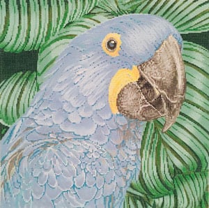 click here to view larger image of Parrot Hyacinth Macaw (hand painted canvases)