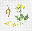 click here to view larger image of Botanical Spice Tile - Mustard (hand painted canvases)