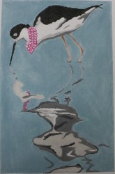 click here to view larger image of Necklaced Avocet - 13M (hand painted canvases)