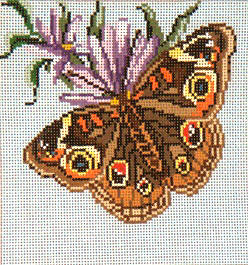 click here to view larger image of Common Buckeye - 13M (hand painted canvases)