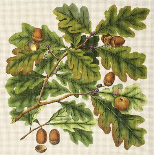 click here to view larger image of Oak Leaves and Acorns (hand painted canvases)
