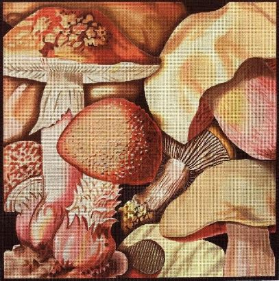 click here to view larger image of Mushroom Collage 2 (hand painted canvases)