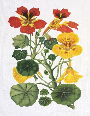 click here to view larger image of Nasturtiums (hand painted canvases)