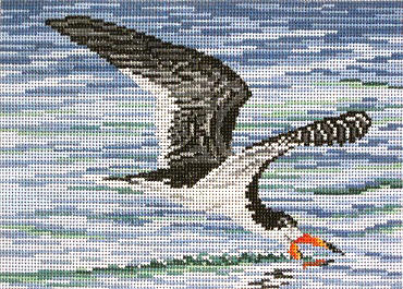 click here to view larger image of Black Skimmer (hand painted canvases)