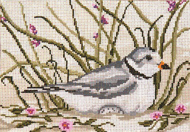 click here to view larger image of Piping Plover (hand painted canvases)