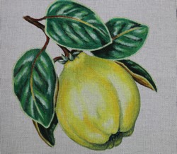click here to view larger image of Large Quince (hand painted canvases)
