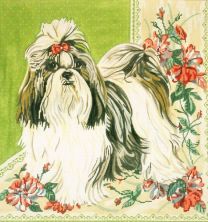 click here to view larger image of Shih Tzu (hand painted canvases)