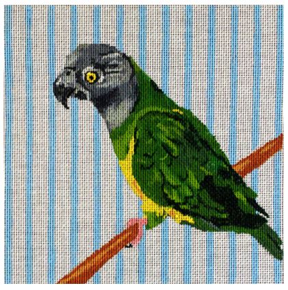 click here to view larger image of Jane the Senegal Parrot I (hand painted canvases)