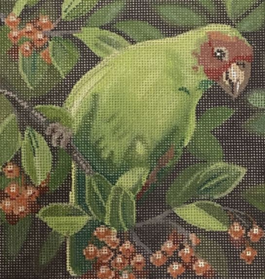 click here to view larger image of Parrot w/Berries (hand painted canvases)