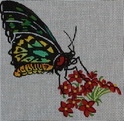 click here to view larger image of Butterfly w/Yellow and Red Flowers (hand painted canvases)