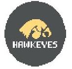click here to view larger image of Iowa Hawkeyes (hand painted canvases)