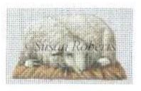 click here to view larger image of Laying Down Sheep Nativity Doll (hand painted canvases)