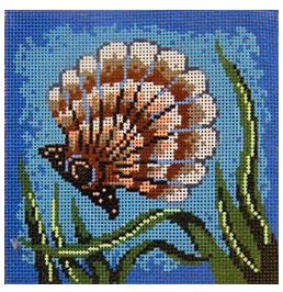 click here to view larger image of Scallop Shell w/White Coral on Aqua (hand painted canvases)