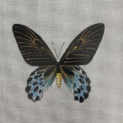 click here to view larger image of Butterfly - AN446 (hand painted canvases)