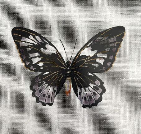 click here to view larger image of Butterfly - AN448 (hand painted canvases)