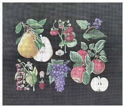 click here to view larger image of Pears & Berries (hand painted canvases)
