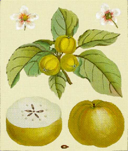 click here to view larger image of Green Apple Botanical (hand painted canvases)