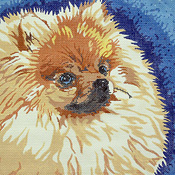 click here to view larger image of Pomeranian (hand painted canvases)