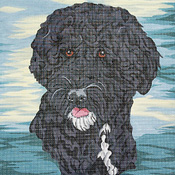 click here to view larger image of Portugese Water Dog (hand painted canvases)
