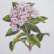 click here to view larger image of Mountain Laurel (hand painted canvases)