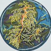 click here to view larger image of Leafy Sea Dragons (hand painted canvases)