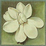 click here to view larger image of Magnolia Alba (hand painted canvases)