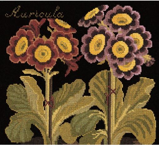 click here to view larger image of Auricula (Black Background) (needlepoint kits)
