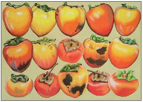 click here to view larger image of Persimmons (hand painted canvases)