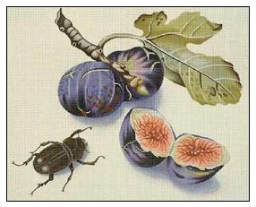 click here to view larger image of Figs and Beetle (hand painted canvases)