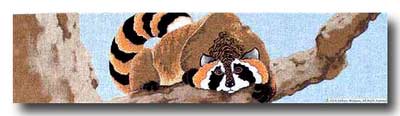 click here to view larger image of Raccoon Picnic Directors Chair Back (hand painted canvases)