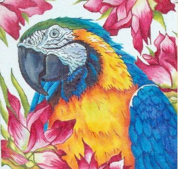 click here to view larger image of Parrot w/Floral Background (hand painted canvases)