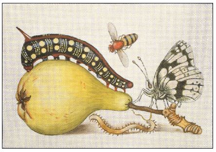 click here to view larger image of Pear and Caterpillar (hand painted canvases)