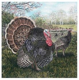 click here to view larger image of Turkeys (hand painted canvases)