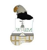 click here to view larger image of College of William and Mary With Eagle Mini Sock (hand painted canvases)
