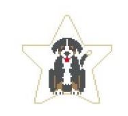 click here to view larger image of Burmese Mountain Dog Star (hand painted canvases)