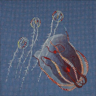 click here to view larger image of Sea Gooseberries And Comb Jelly (hand painted canvases)