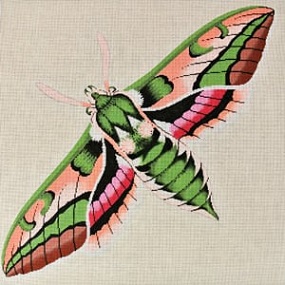click here to view larger image of Moth Green, Pink, and Peach (hand painted canvases)