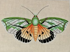 click here to view larger image of Moth Orange, Green, and Black (hand painted canvases)