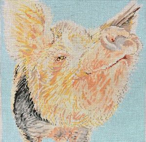 click here to view larger image of Snooty Pig (hand painted canvases)