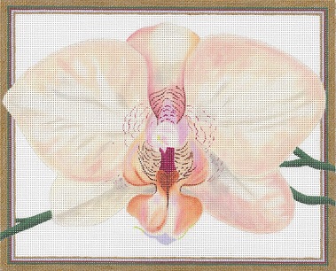 click here to view larger image of Salmon Orchid (hand painted canvases)
