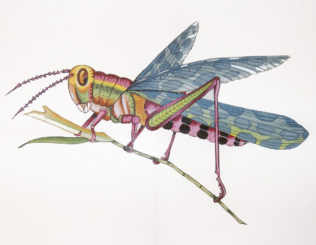 click here to view larger image of Grasshopper - Large (hand painted canvases)