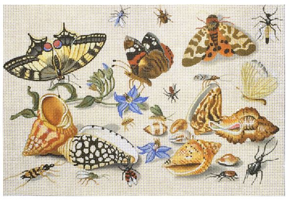 click here to view larger image of Shells and Insects (hand painted canvases)