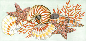 click here to view larger image of Shellacious (hand painted canvases)