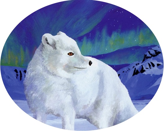 Polar Bear hand painted canvases 