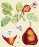 click here to view larger image of Red Pear Botanical (hand painted canvases)