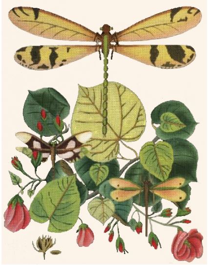 click here to view larger image of Dragonfly Botanical / Roses - Cream Background (hand painted canvases)